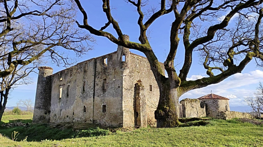 chateau de Montfa